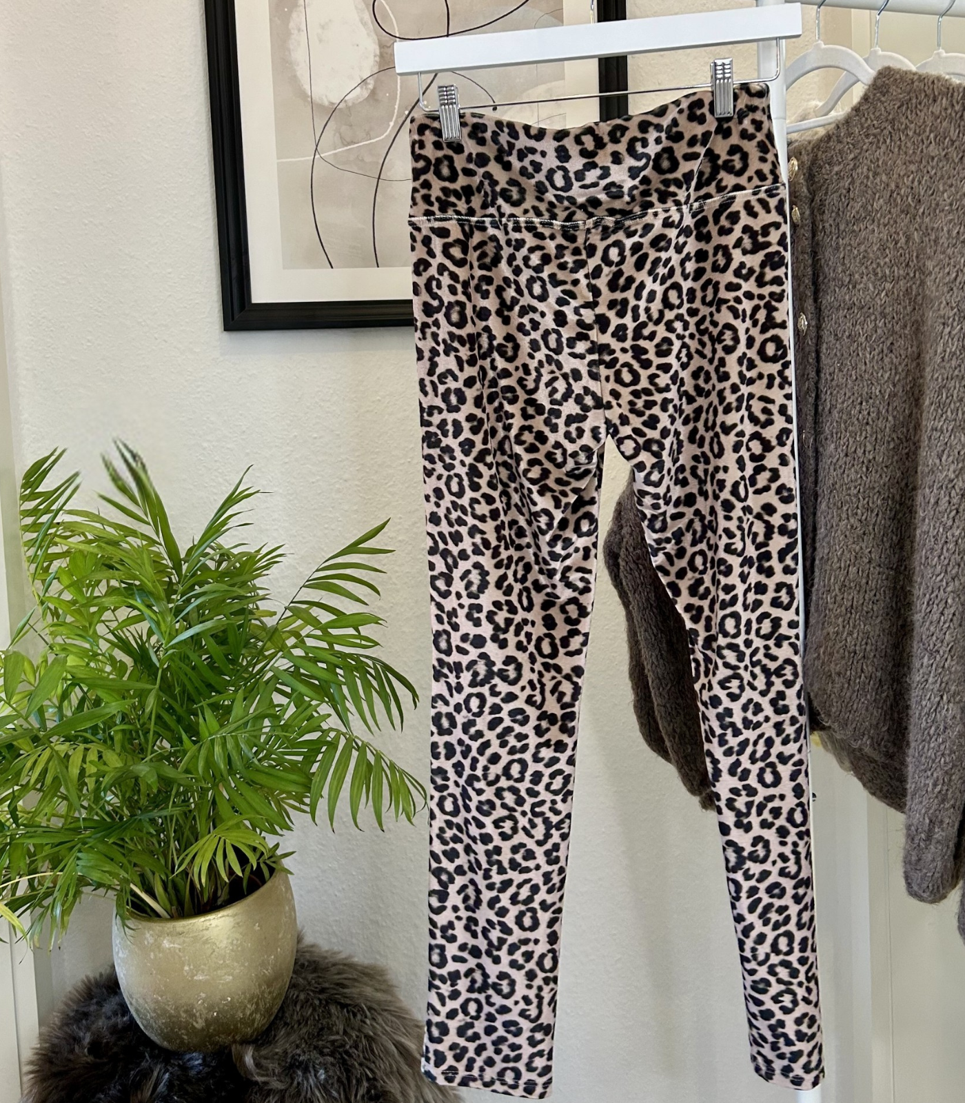 Leo Leggings Samt