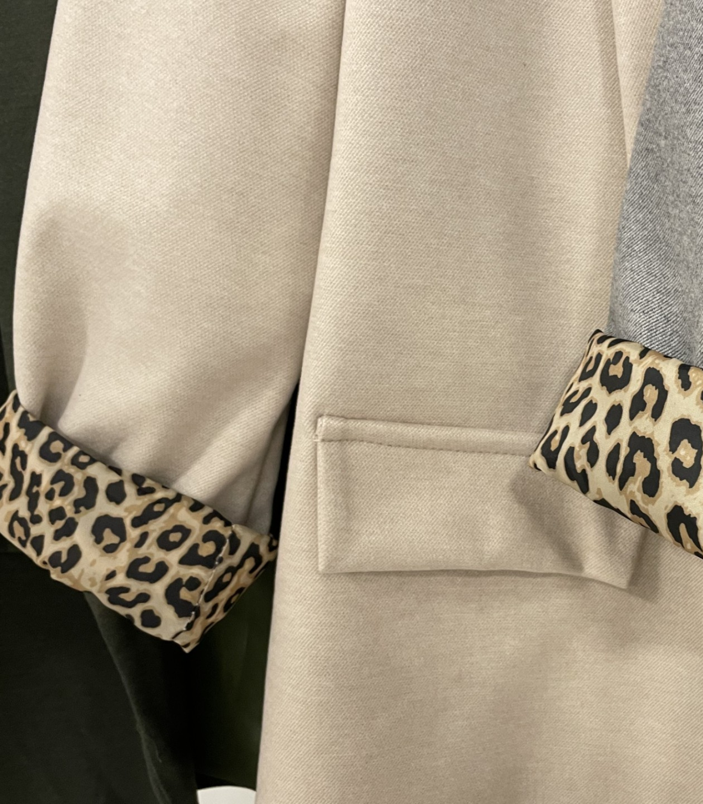 Blazer Leo