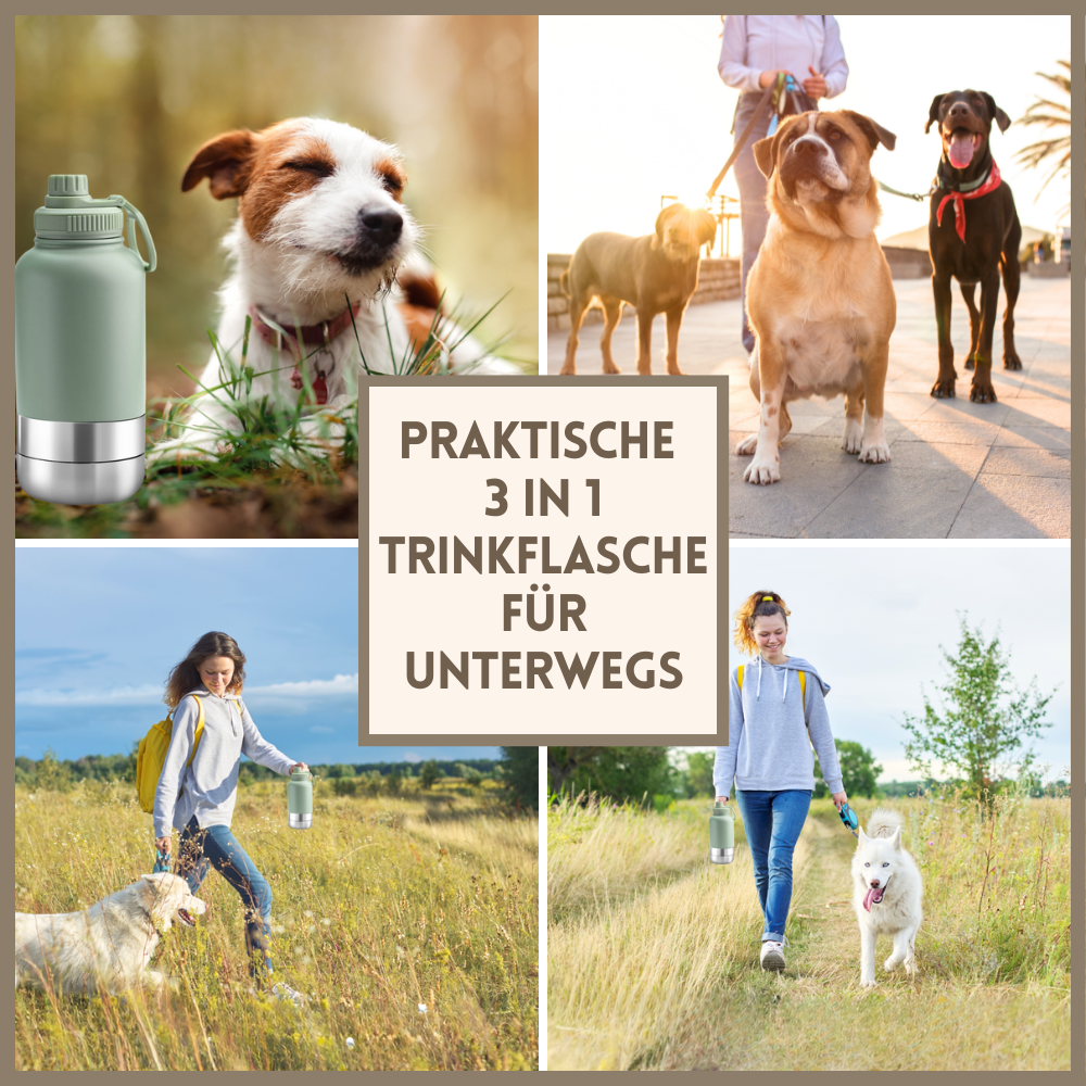 Hunde Trinkflasche 3-in-1